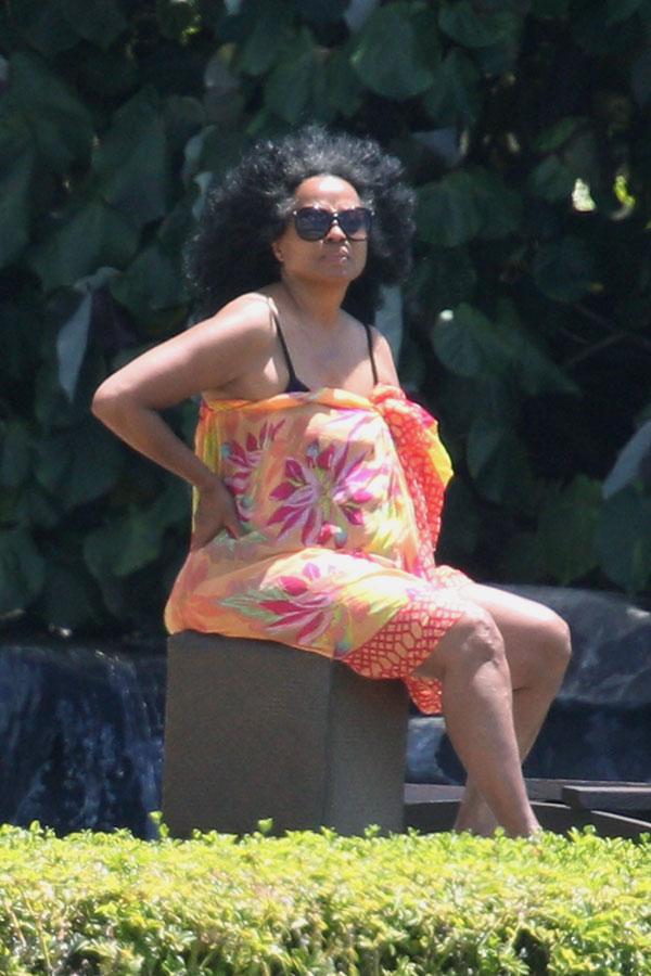 Diana Ross Swimsuit