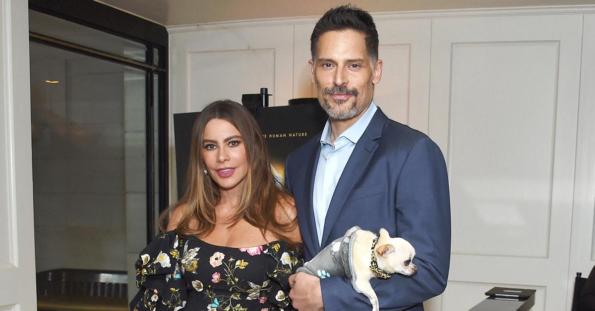 sofia vergara partying alcohol friends worried joe manganiello divorce