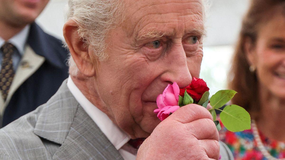 Photo of King Charles