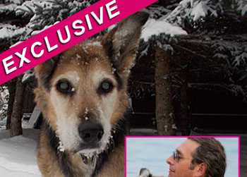 //schoep plays snow facebook