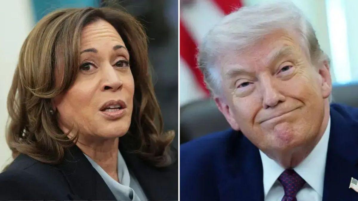 Kamala Harris, Donald Trump