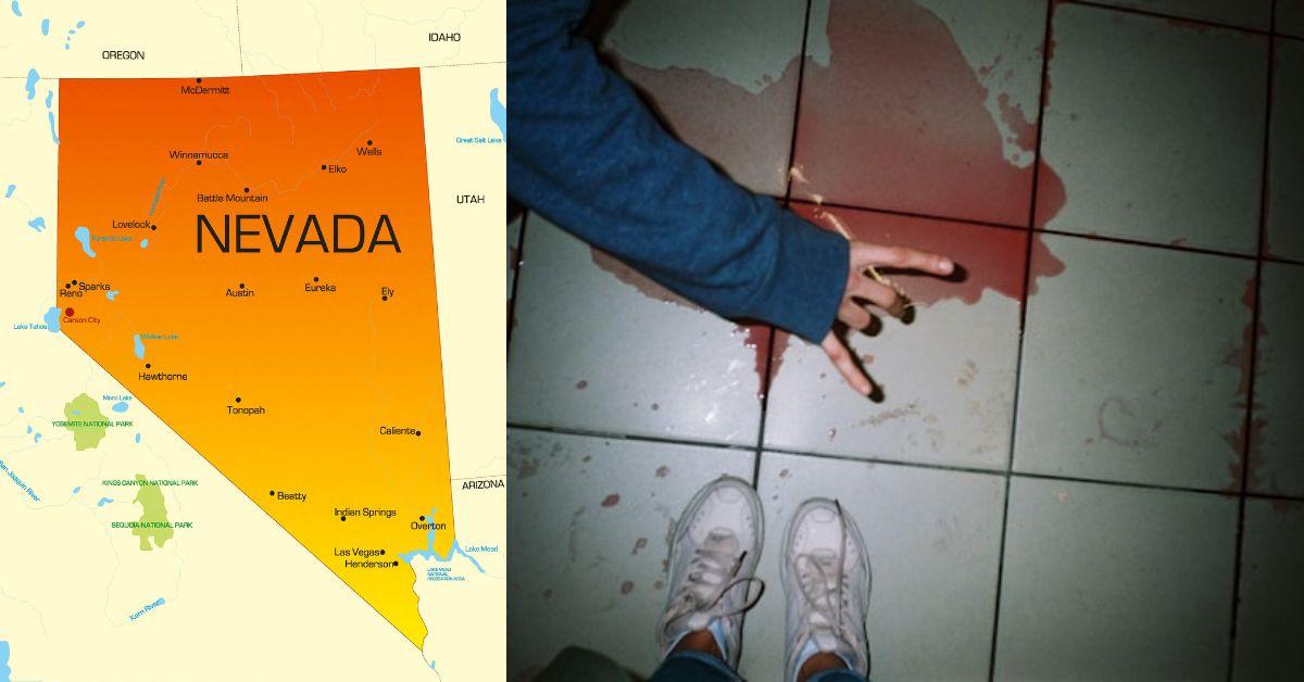 Nevada ranks highest for psychopathy while Vermont reports the lowest levels.