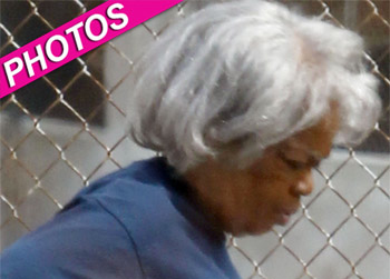 //oprah winfrey grey wig set pcn