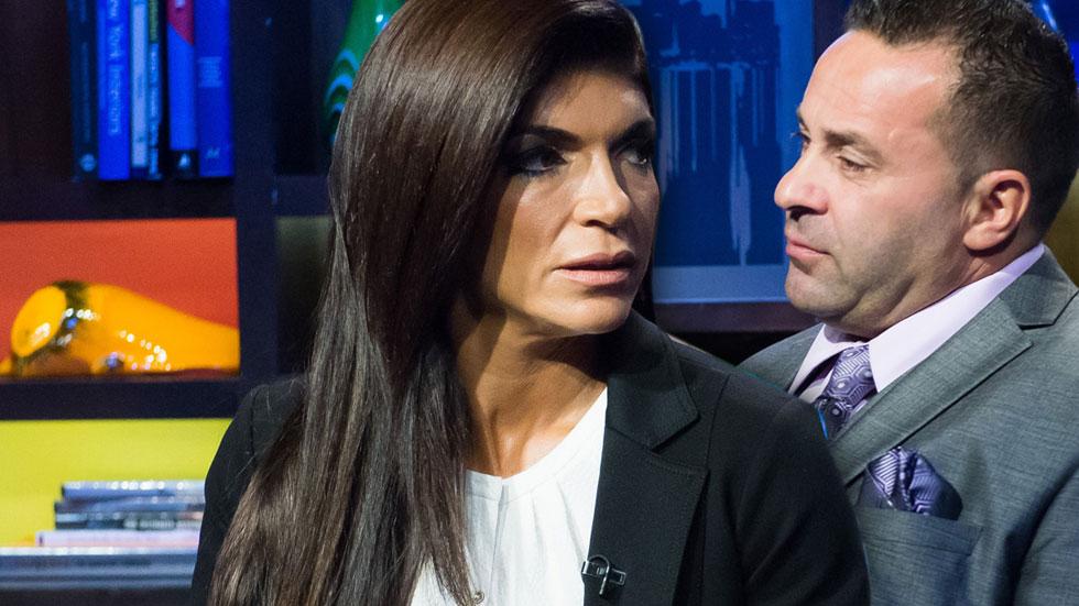 //teresa giudice divorce appeal