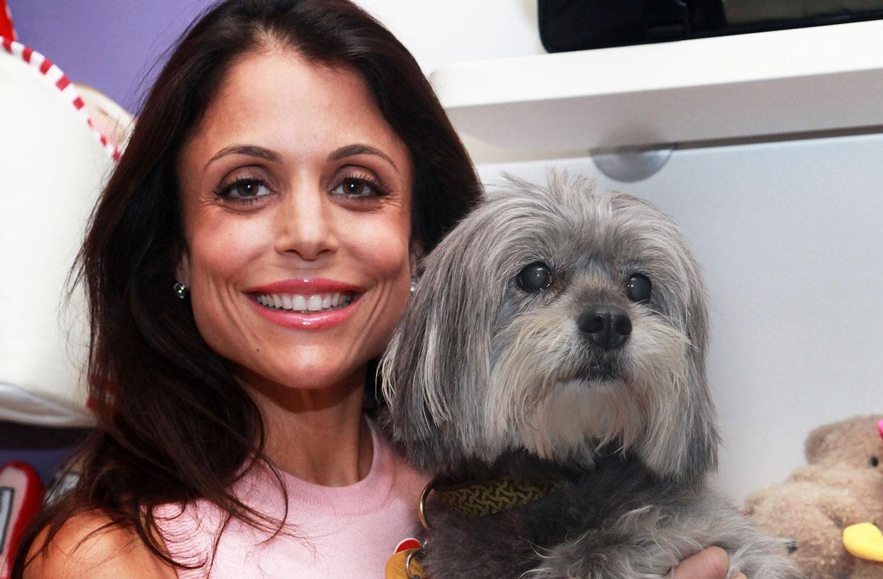 //bethenny frankel dog dies pp