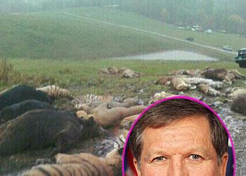 //ohio mayor exotic animal legislation