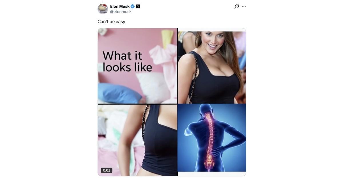 Photo of meme Elon Musk posted