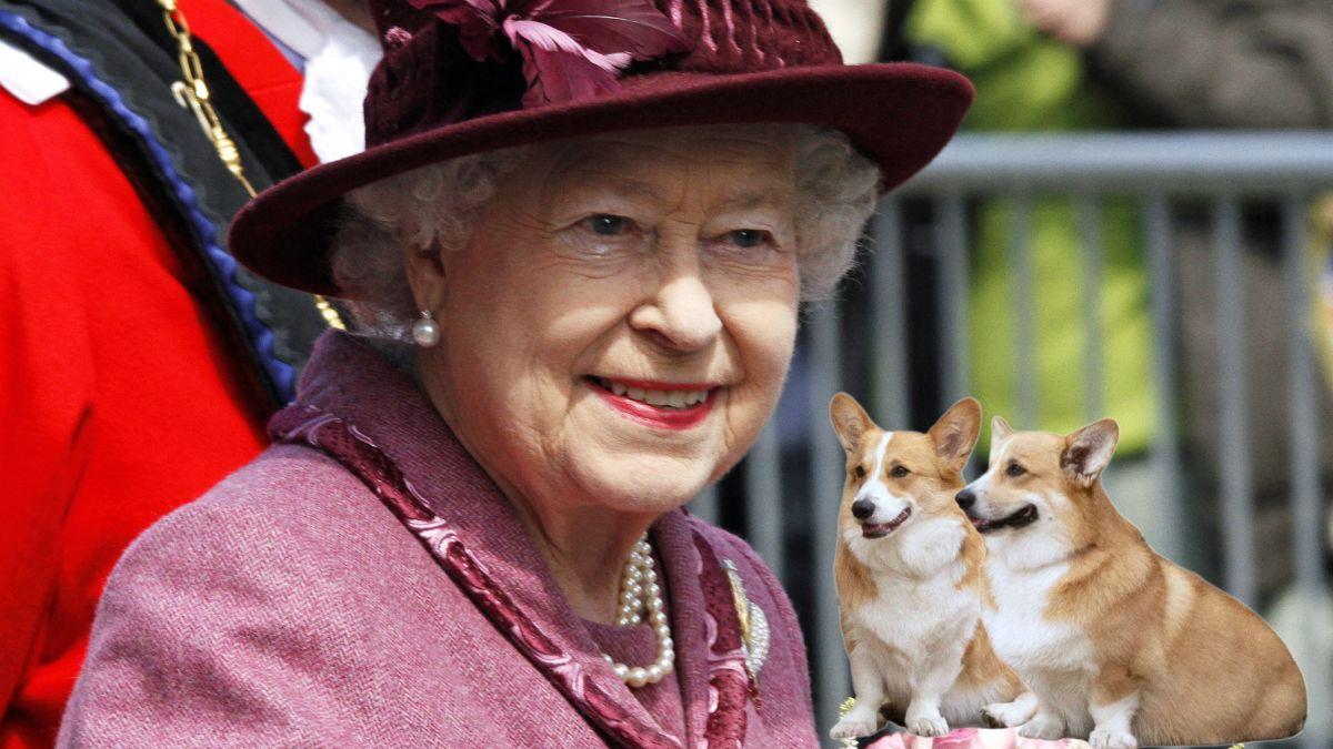 Photo of Queen Elizabeth and her corgis