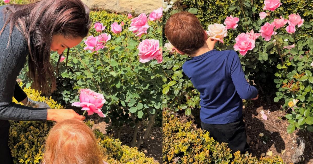 prionce harry fuming meghan kids