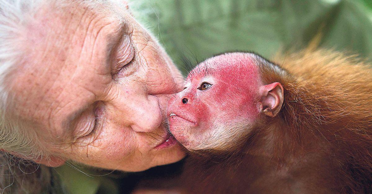 Photo of Jane Goodall