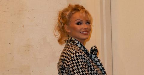 Exposed: Pamela Anderson & Heather Locklear's Feud Over David Spade