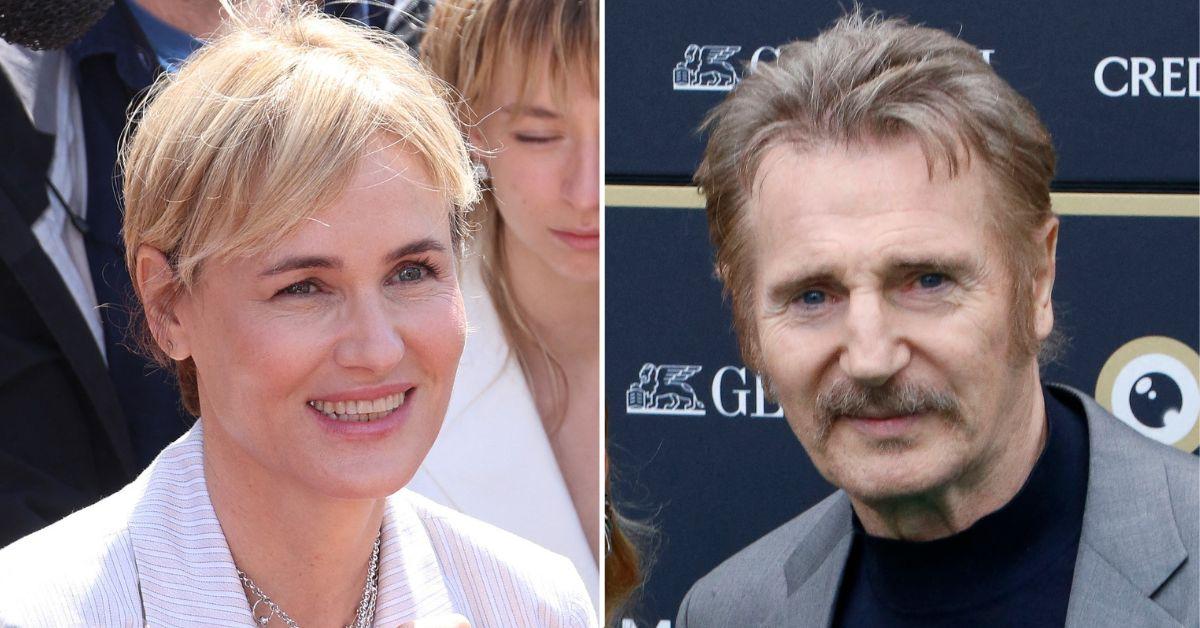 liam neeson sharon stone