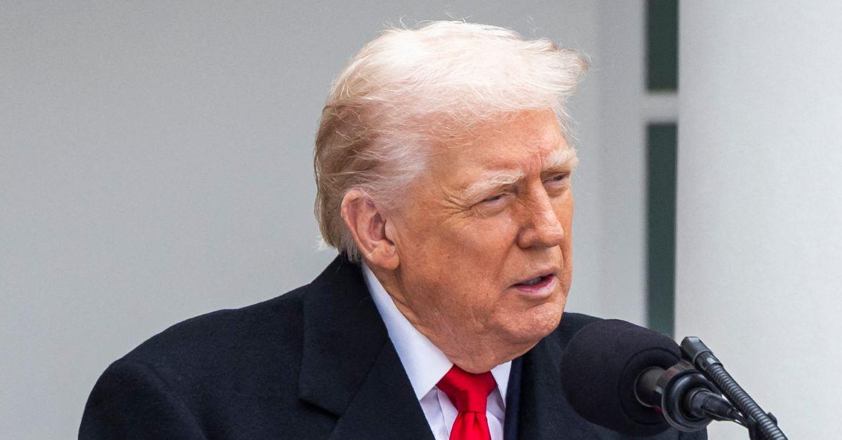 picture of Donald Trump