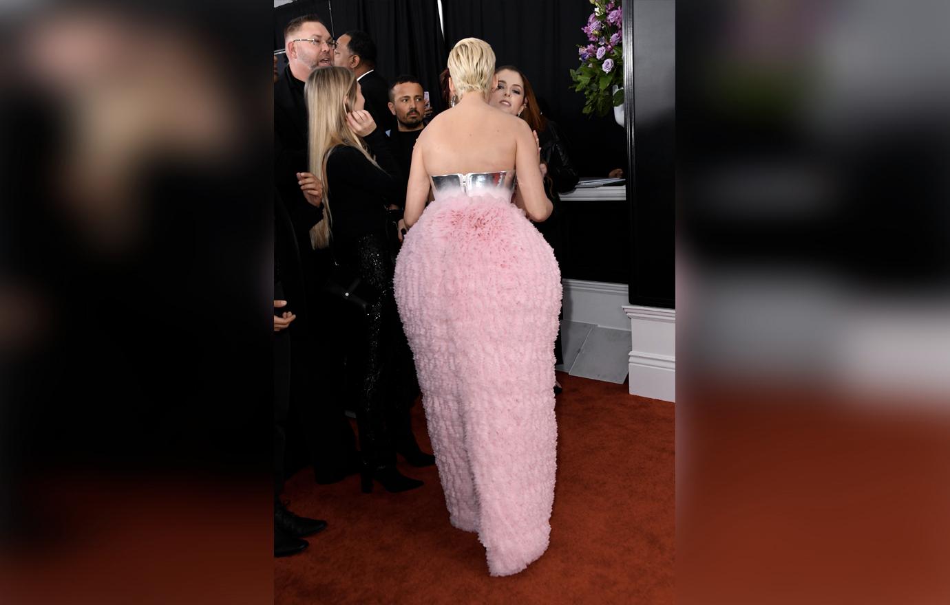 Grammys Wackiest Dresses Red Carpet Stars