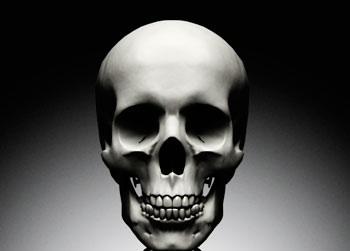 //skeleton gettyimages