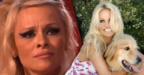 //pamela anderson dog