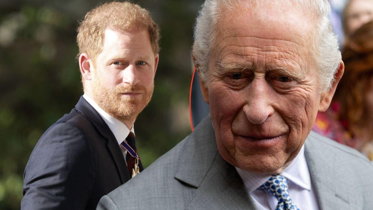Photo of Prince Harry and King Charles