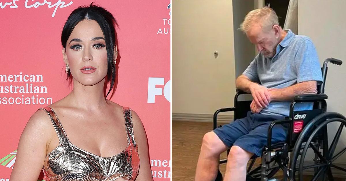 katy perry vet mansion fight sons kicked out court hearing