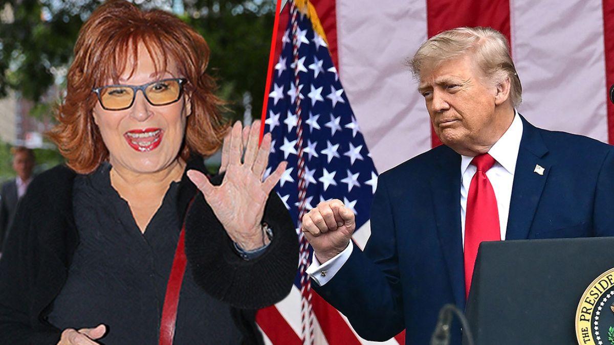 Joy Behar confessed she was 'embarrassed' by Trump on 'The View.'