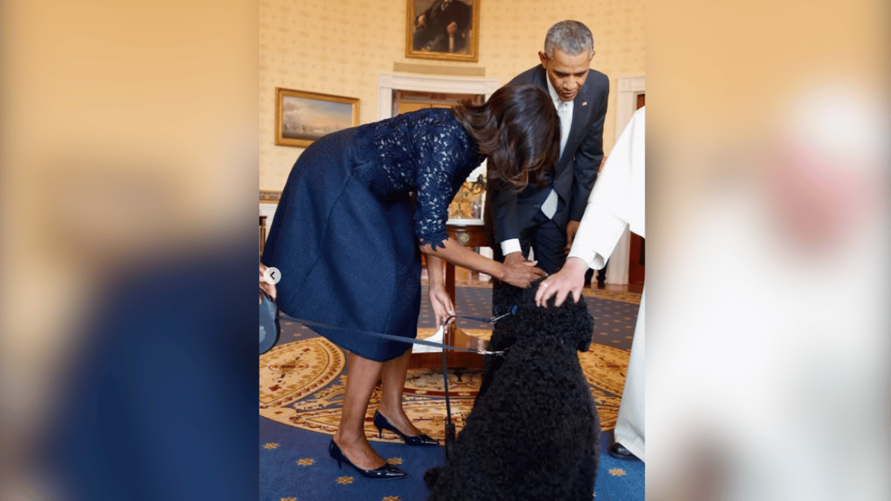 Sunny and big brother Bo were often spotted in the White House.