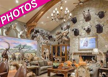 //texas house stuffed animals post_