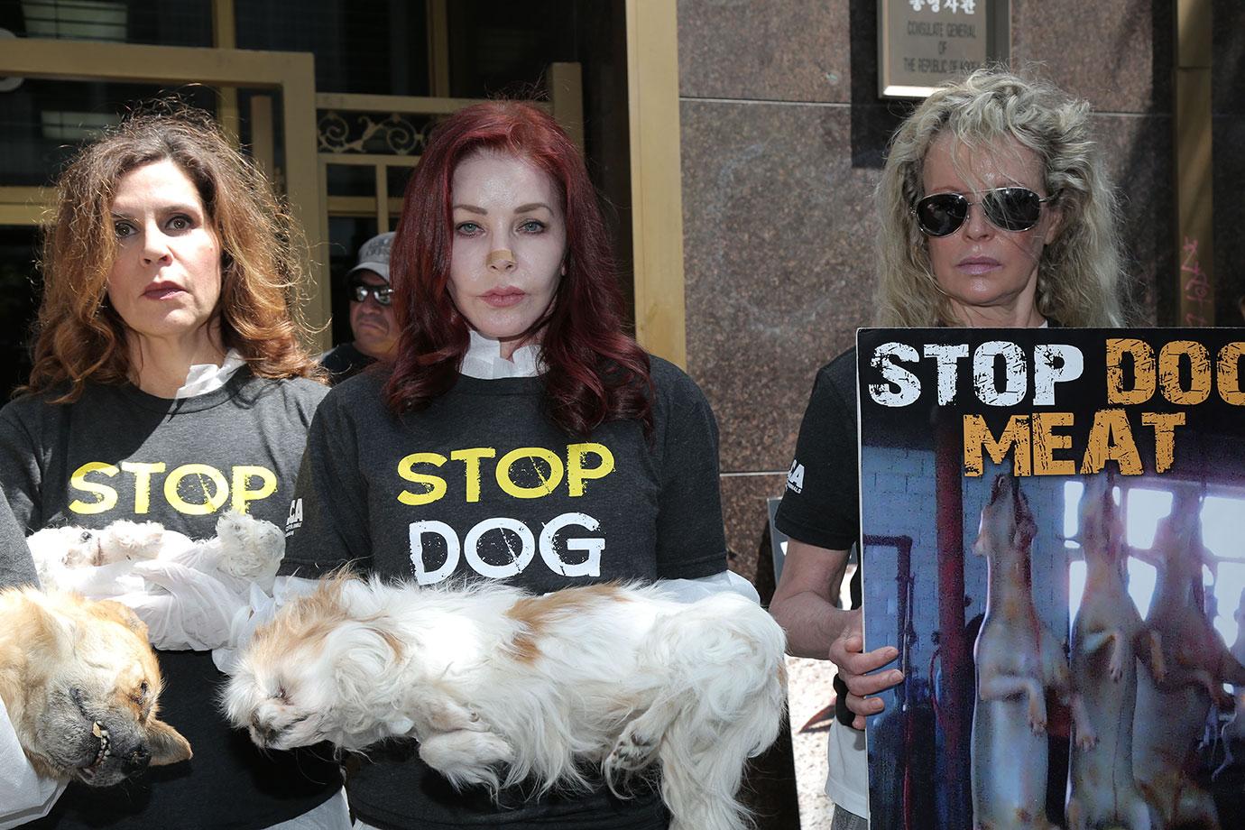 Priscilla Presley Kim Basinger Hold Dead Dogs Photos