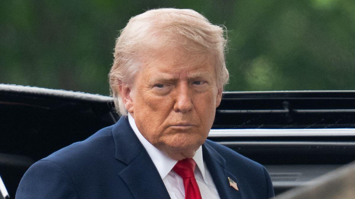 Picture of Donald Trump