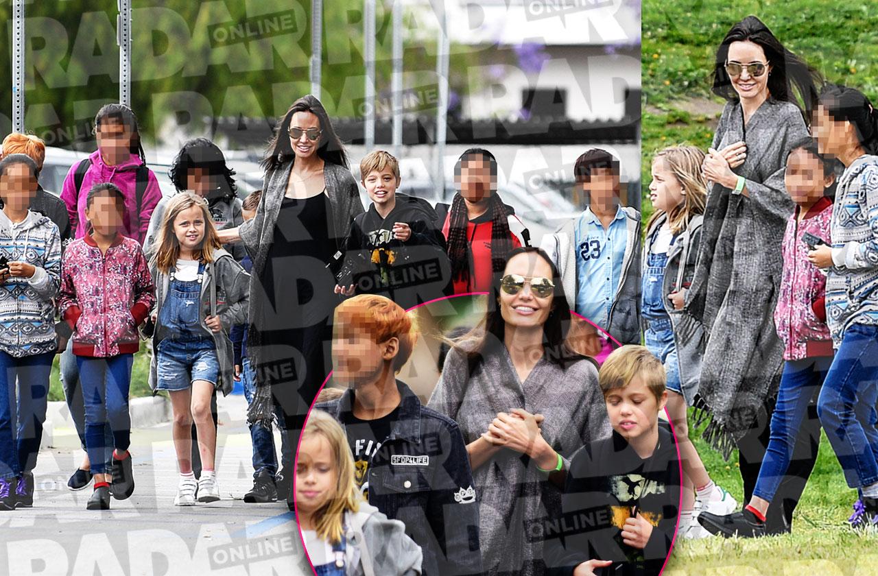 Angelina Jolie Divorce Kids Adopting