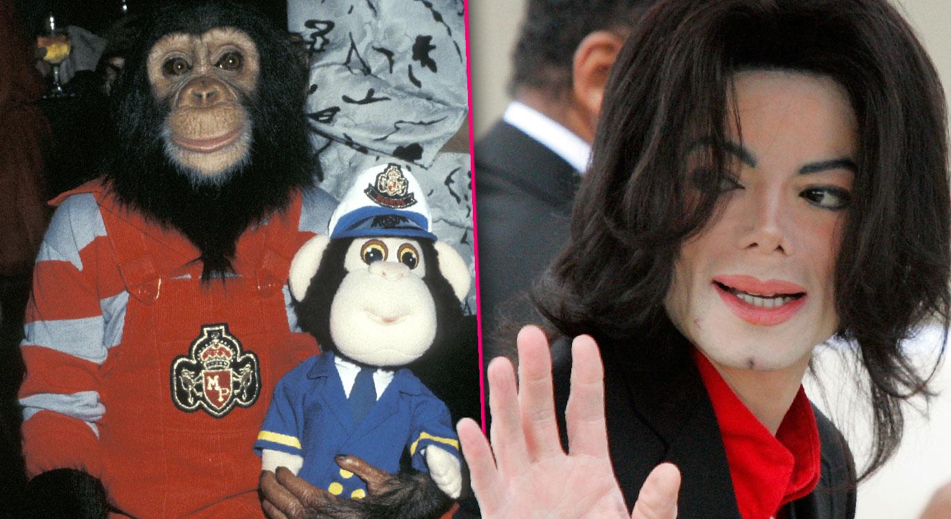Michael Jackson's Chimp Bubbles Hates Him