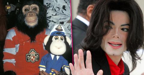 Michael Jackson's Chimp Bubbles Hates Him