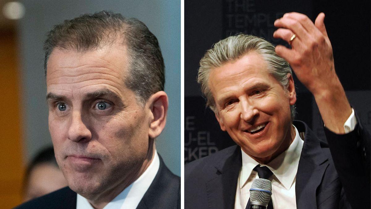Presidential historian Leon Wagener said Biden appeared serious about serving as Gavin Newsom's 2028 vice-presidential running mate.