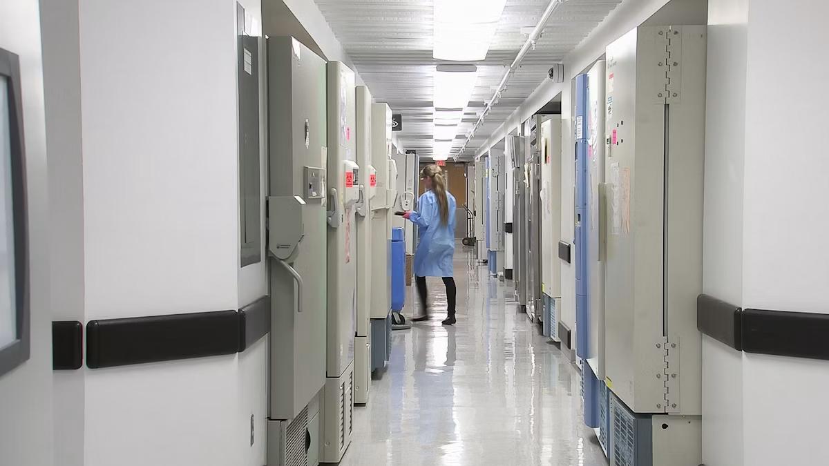 The man allegedly stole the body parts from his workplace.