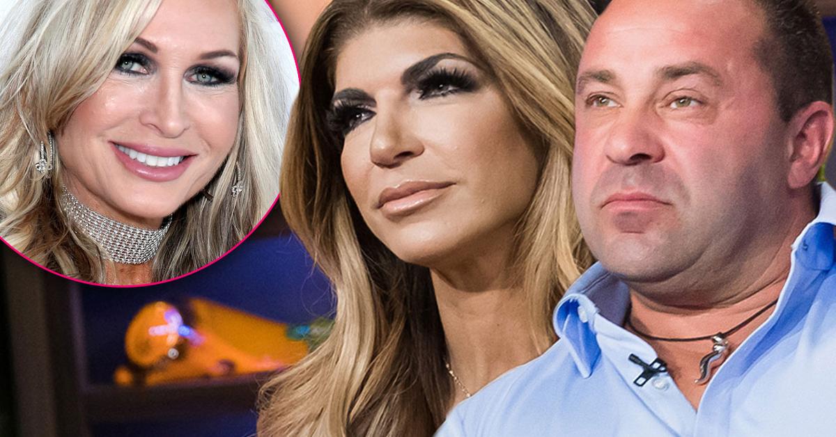 Teresa Giudice Won't Move To Italy With Husband Joe, 'RHONJ' Nemesis