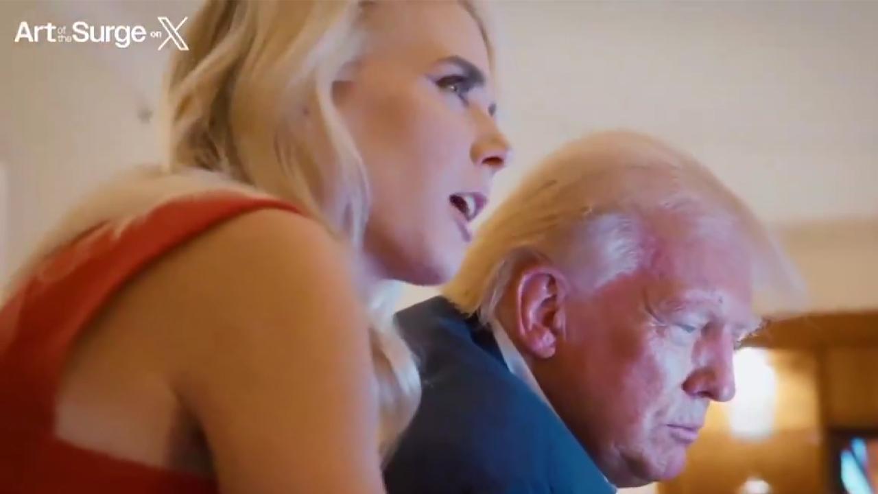 Critics were shocked at how influential Harp seems to be to the president.