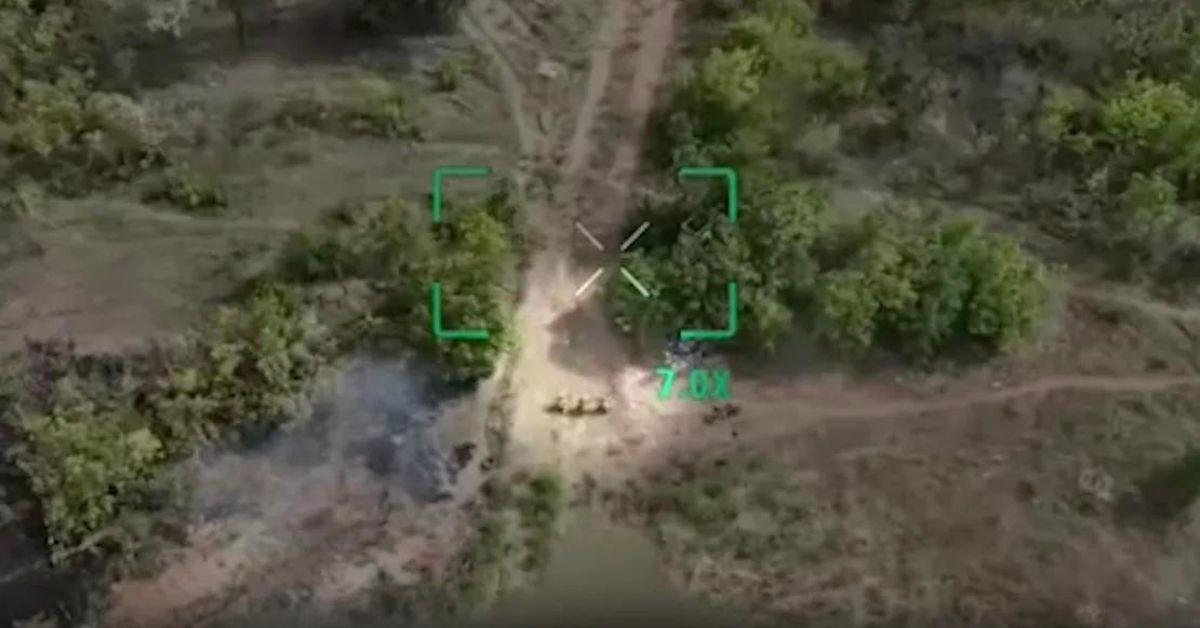 Apparent Executions of POWs by Russian Troops Caught On Ukrainian Drones