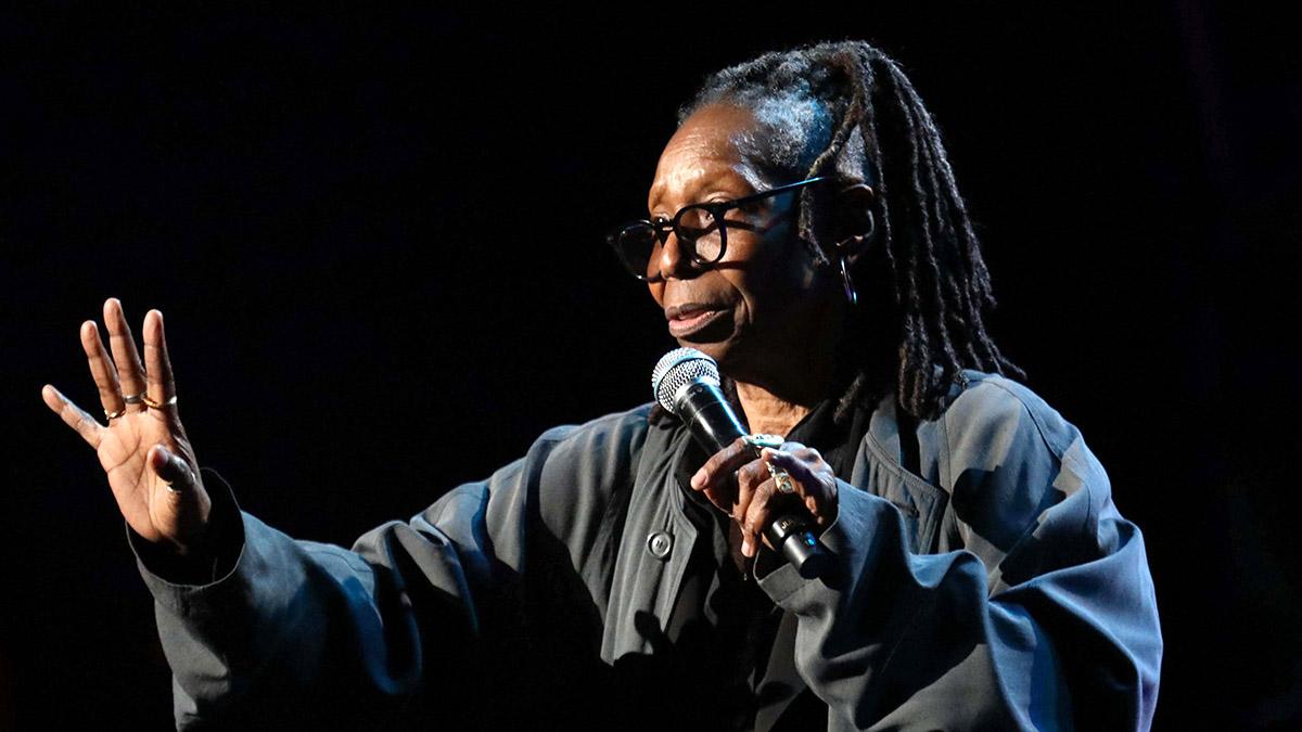 Whoopi Goldberg declared Homan couldn't put the shooting deaths 'in the hands of Democrats.'