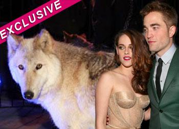 //twilight wolves getty