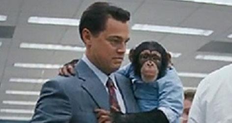 //leonardo dicaprio chimpanzee wolf of wall street