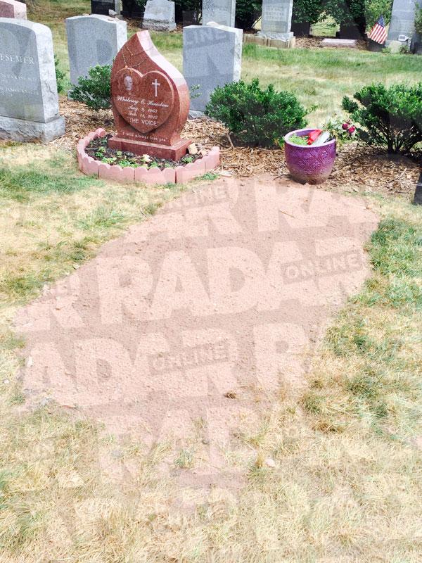 Bobbi Kristina Brown Grave Photos