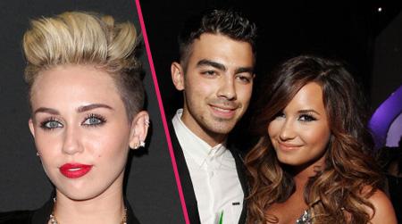 //miley cyrus joe jonas demi lovato pot