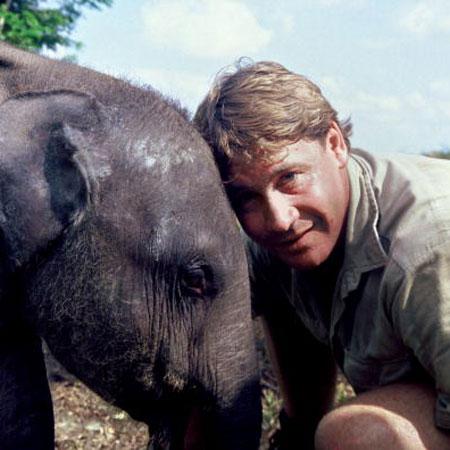 //steve irwin death pp