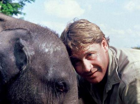 'I'm Dying!' Steve Irwin's Last Words Revealed By Cameraman, Who Says