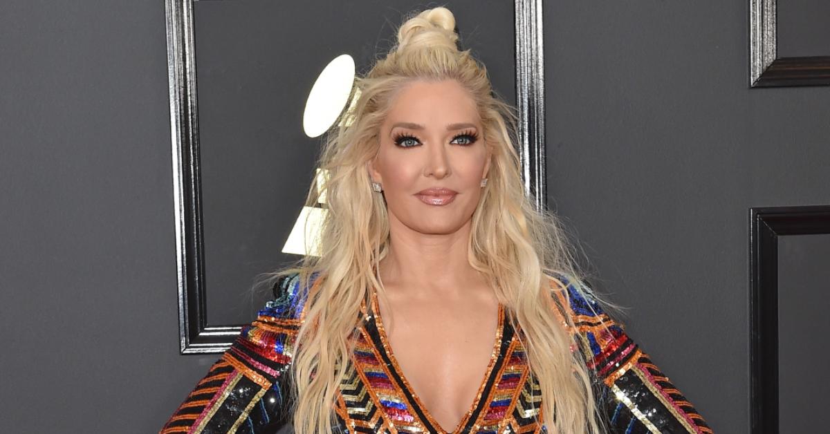 erika jayne pp