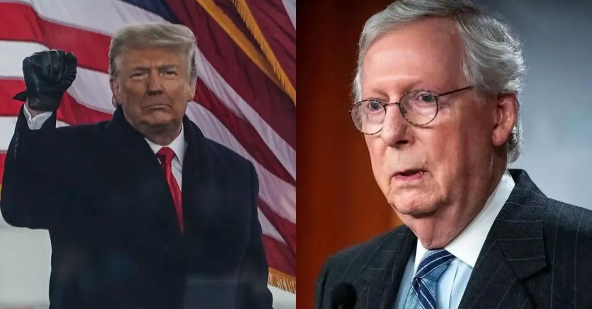 Ex-Prez Donald Trump Attacks Mitch McConnell Hours After Senator Was ...