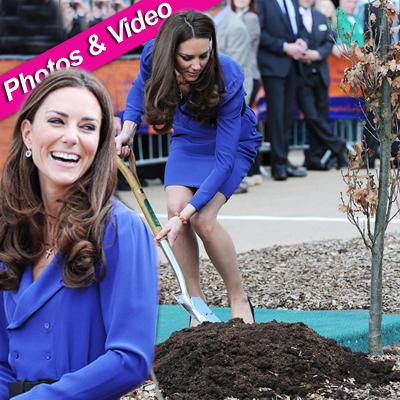 //kate middleton treehouse spl post