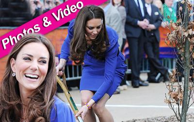 //kate middleton treehouse spl post