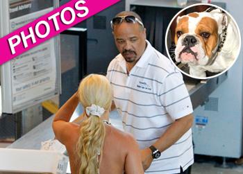 //coco icet spartacus lax splash