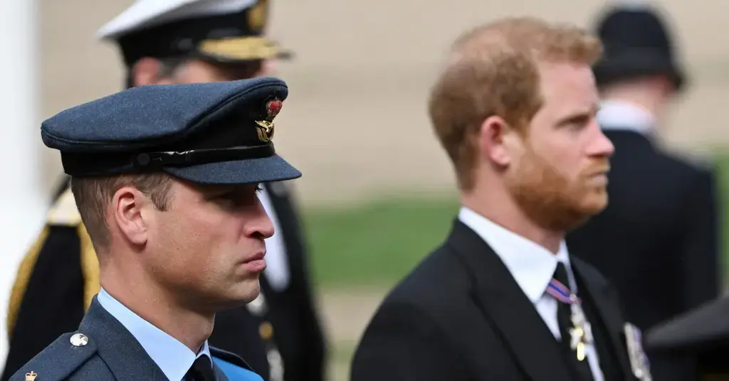 prince harry begged secret meeting king charles william