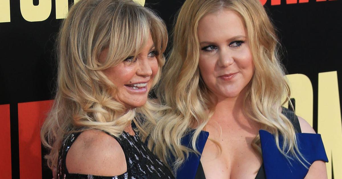 Amy Schumer And Goldie Hawn Bonding Over Sperm 6801