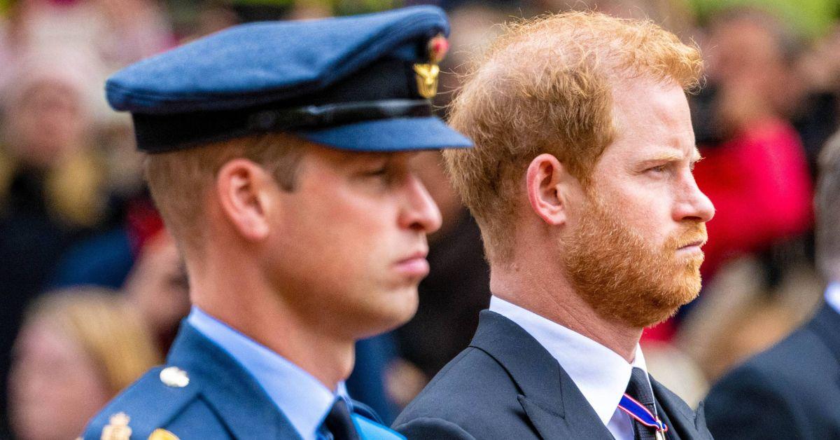 Photo of Prince William and Harry